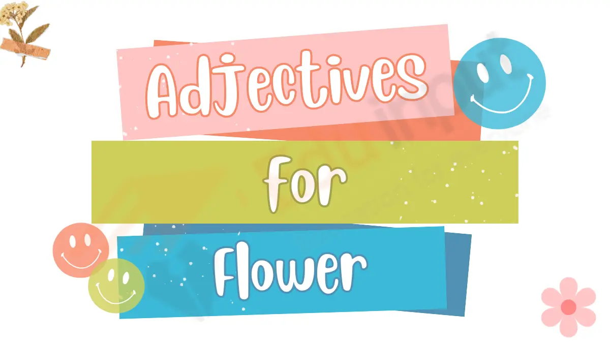 Adjectives for Flower