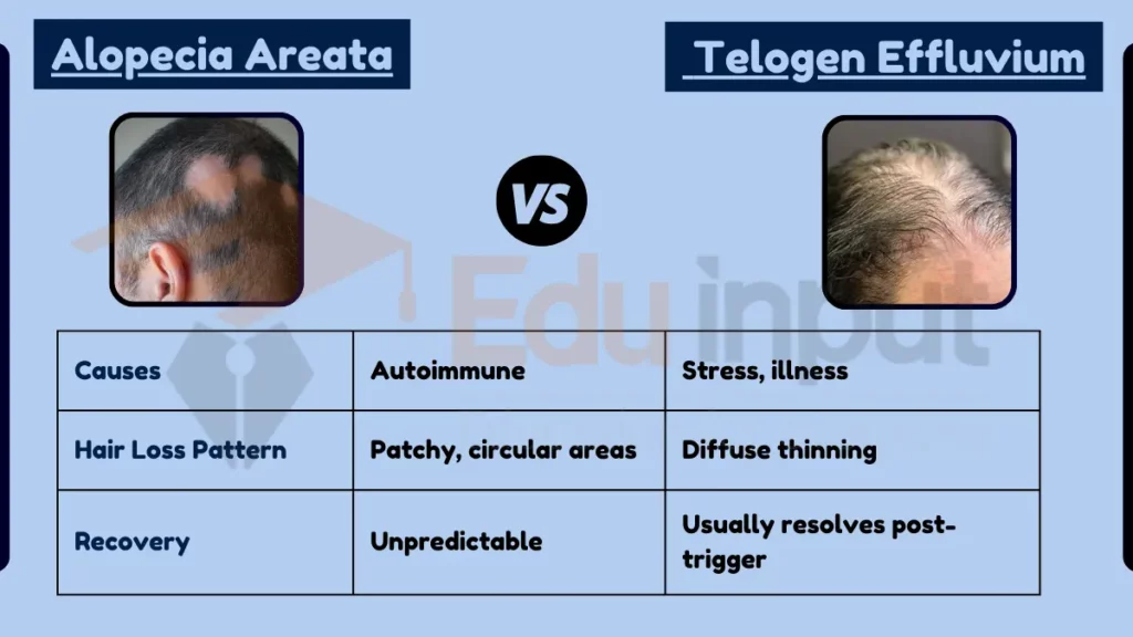 Image showing Difference Between Alopecia Areata and Telogen Effluvium