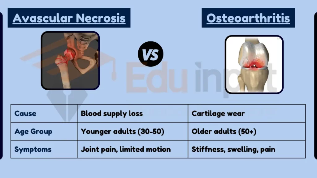 Image showing Difference Between Avascular Necrosis and Osteoarthritis