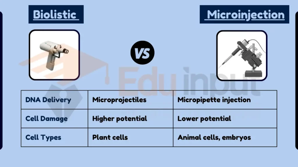 image showing Difference Between Biolistic and Microinjection
