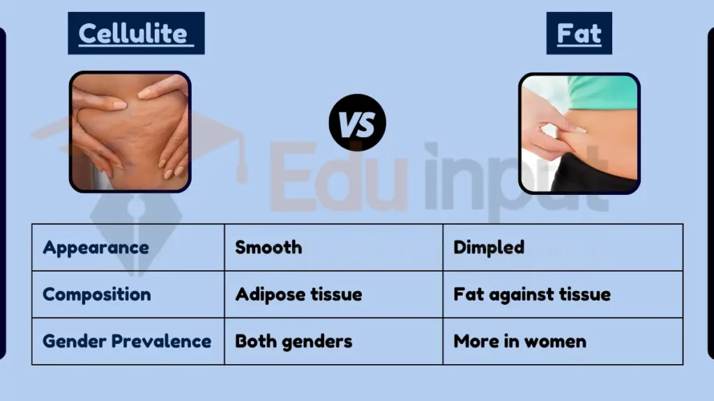 image showing Difference Between Cellulite and Fat