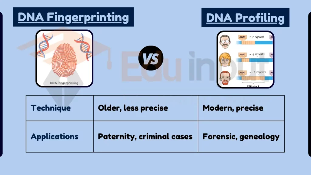 image showing Difference Between DNA Fingerprinting and DNA Profiling