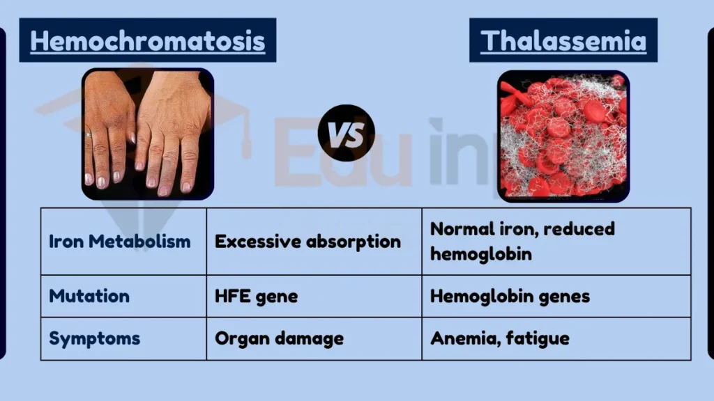 Image showing Difference Between Hemochromatosis and Thalassemia