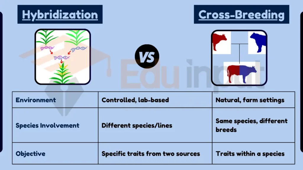 Image showing Difference Between Hybridization and Cross-Breeding