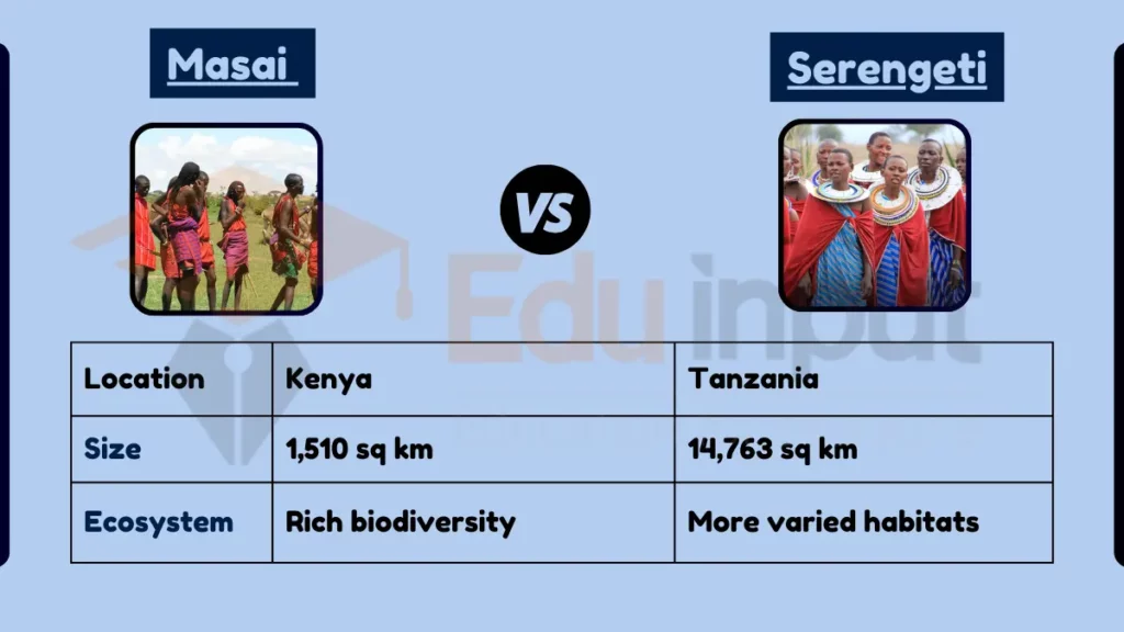 Image showing Difference Between Masai Mara and Serengeti