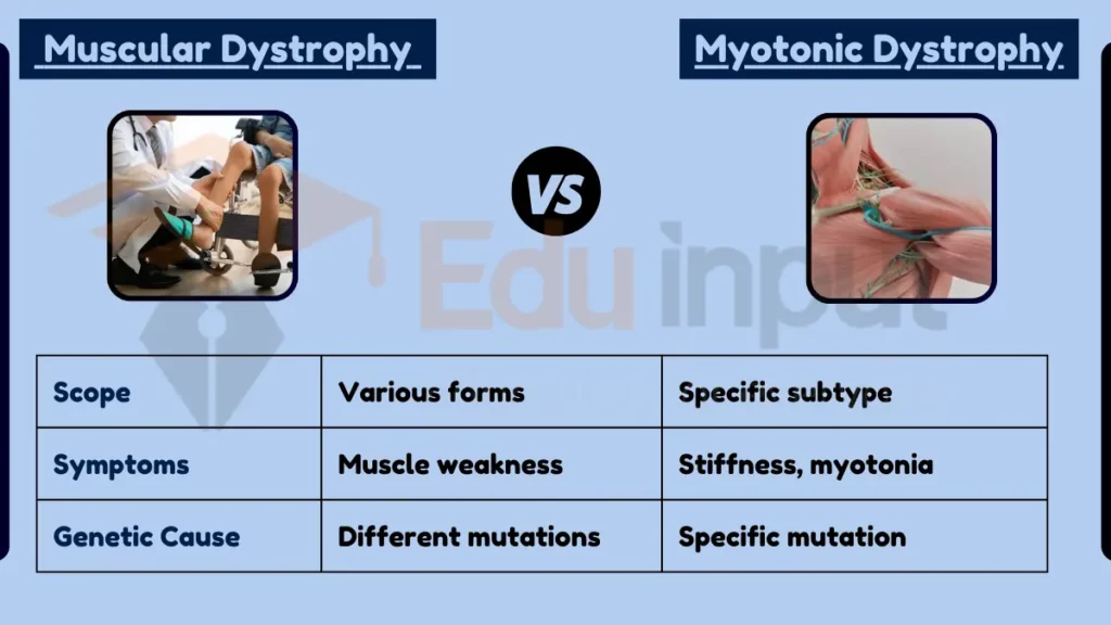 image showing Difference Between Muscular Dystrophy and Myotonic Dystrophy