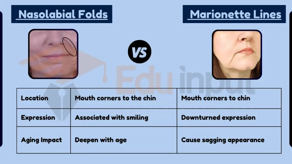 image showing Difference Between Nasolabial Folds and Marionette Lines