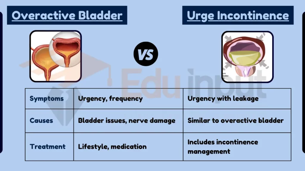 Image showing Difference Between Overactive Bladder and Urge Incontinence