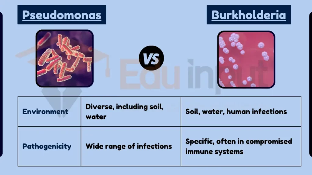 Image showing Difference Between Pseudomonas and Burkholderia