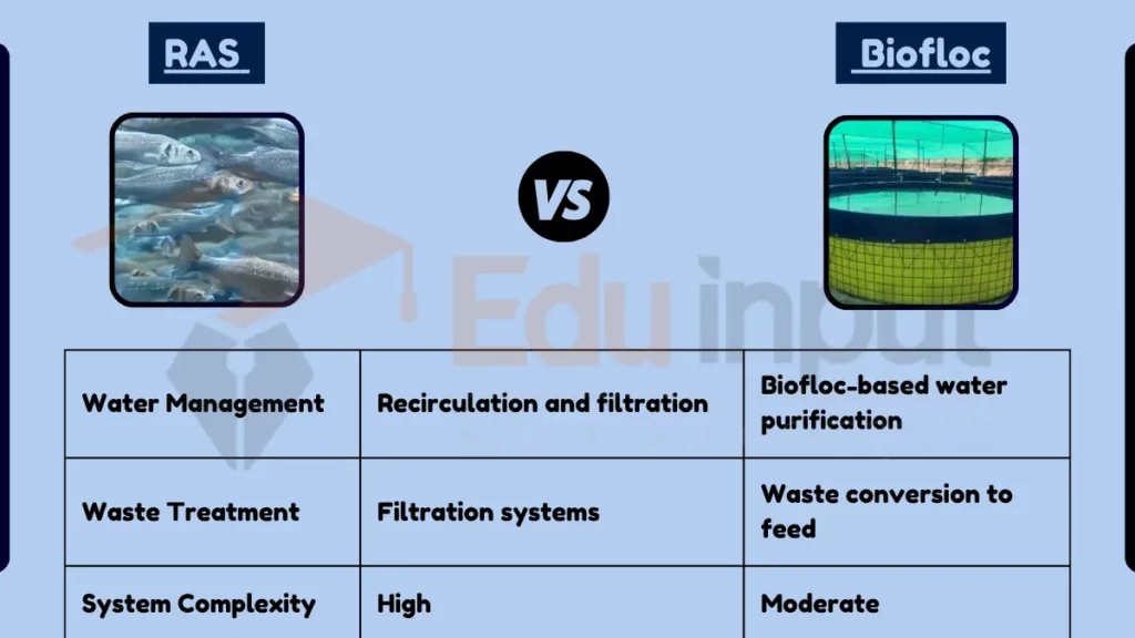 image showing Difference Between RAS and Biofloc