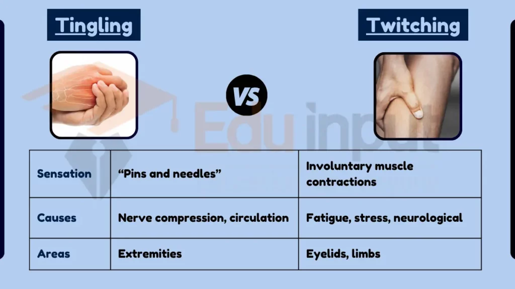 image showing Difference Between Tingling and Twitching