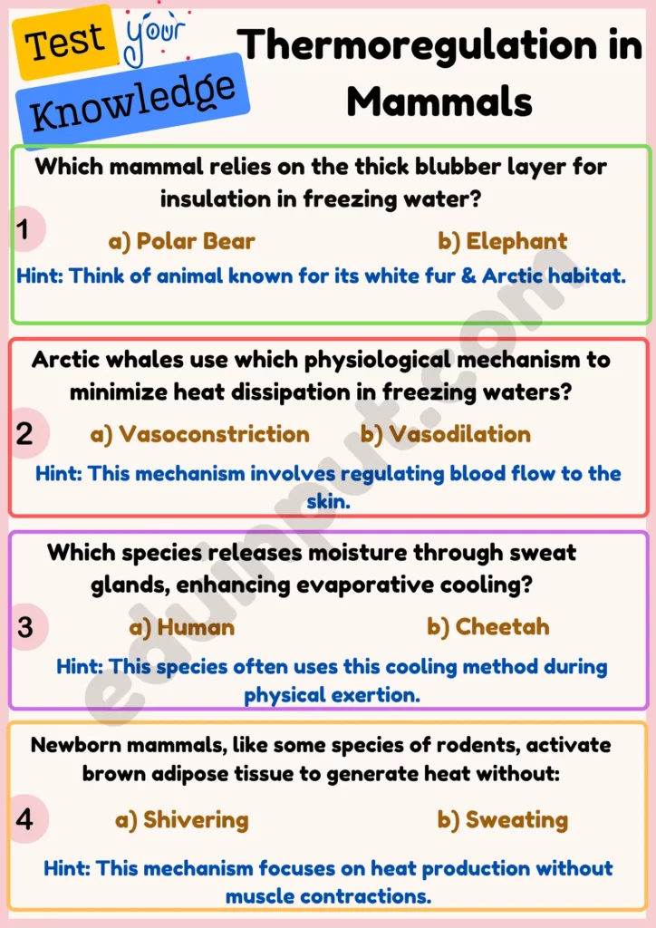 Thermoregulation in Mammals worksheet