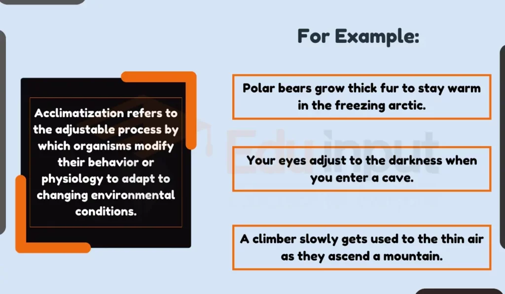 image showing What is Acclimatization?