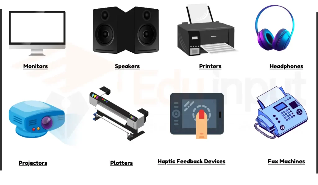 image showing Examples of Output Devices of Computer