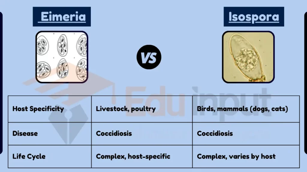 image showing Difference Between Eimeria and Isospora