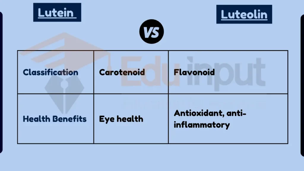 image showing Difference Between Lutein and Luteolin