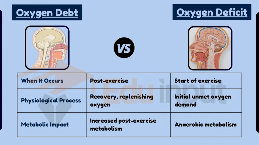 difference-between-oxygen-debt-and-oxygen-deficit