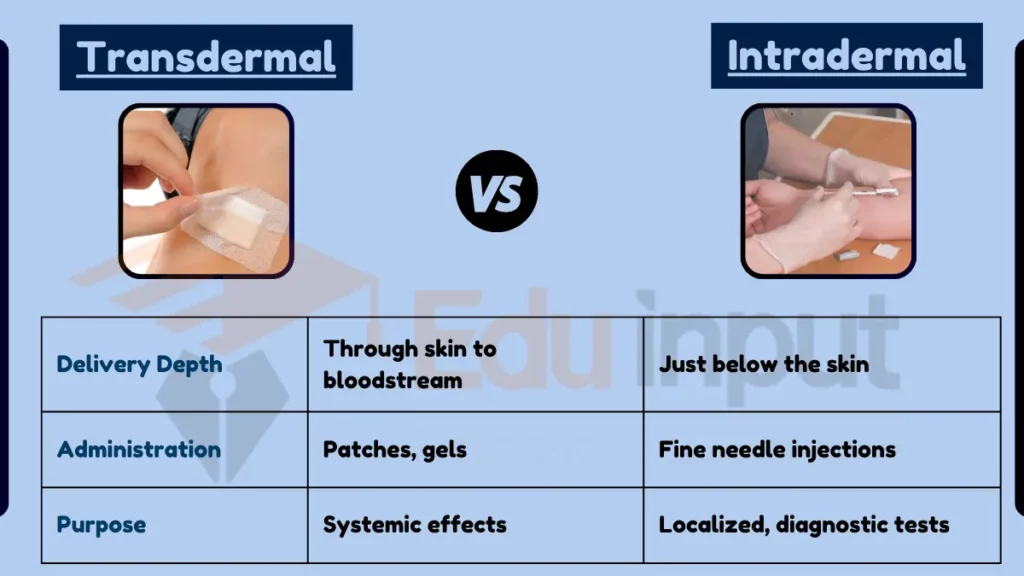 image showing Difference Between Transdermal and Intradermal