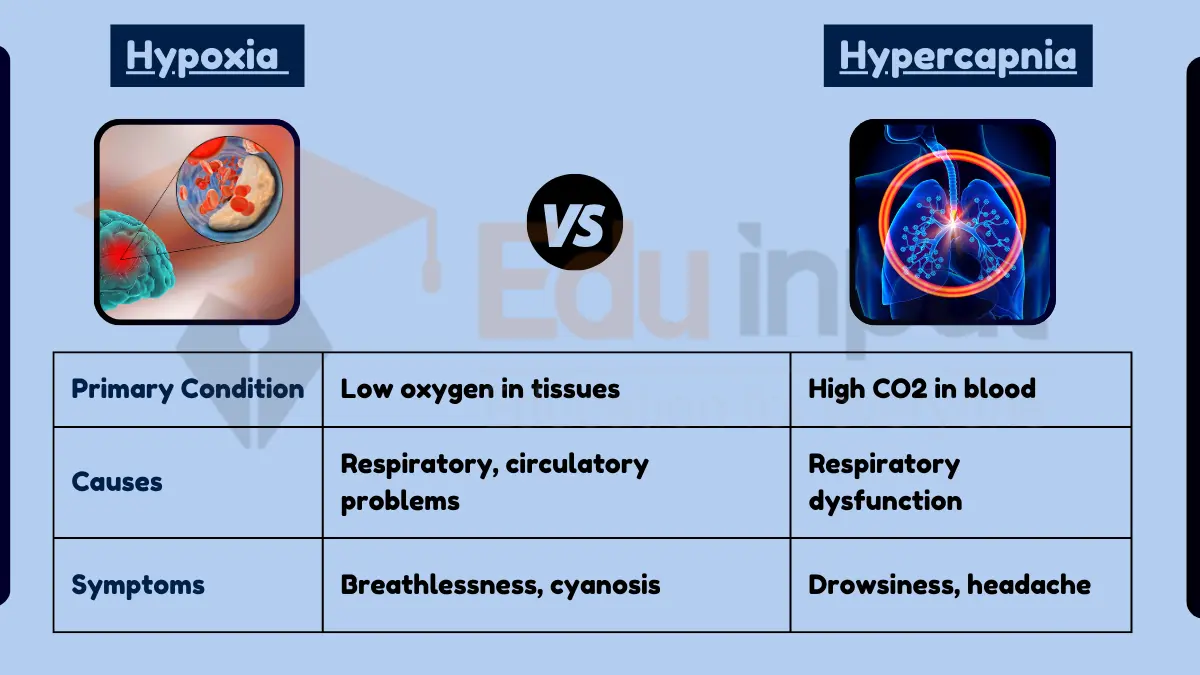 Difference between hypoxia and hypercapnia