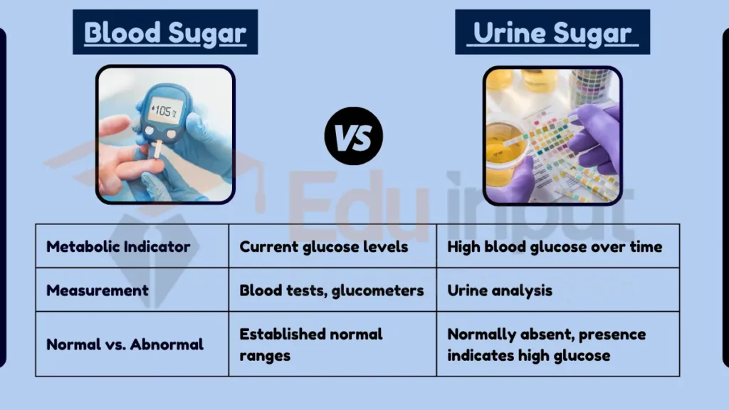 image showing Difference Between Blood Sugar and Urine Sugar