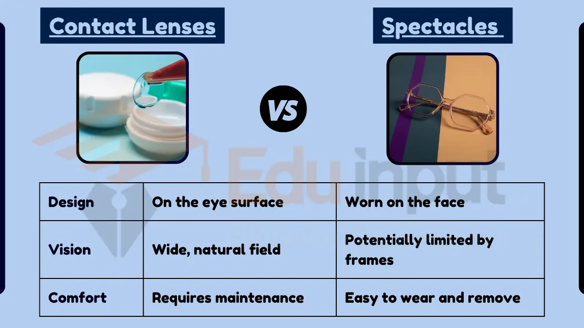 Difference Between Contact Lenses and Spectacles
