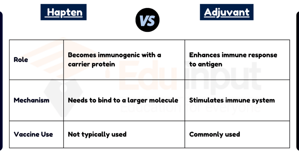 Difference Between Hapten and Adjuvant