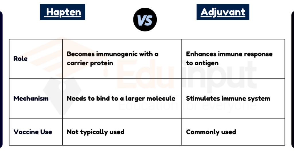 image showing Difference Between Hapten and Adjuvant