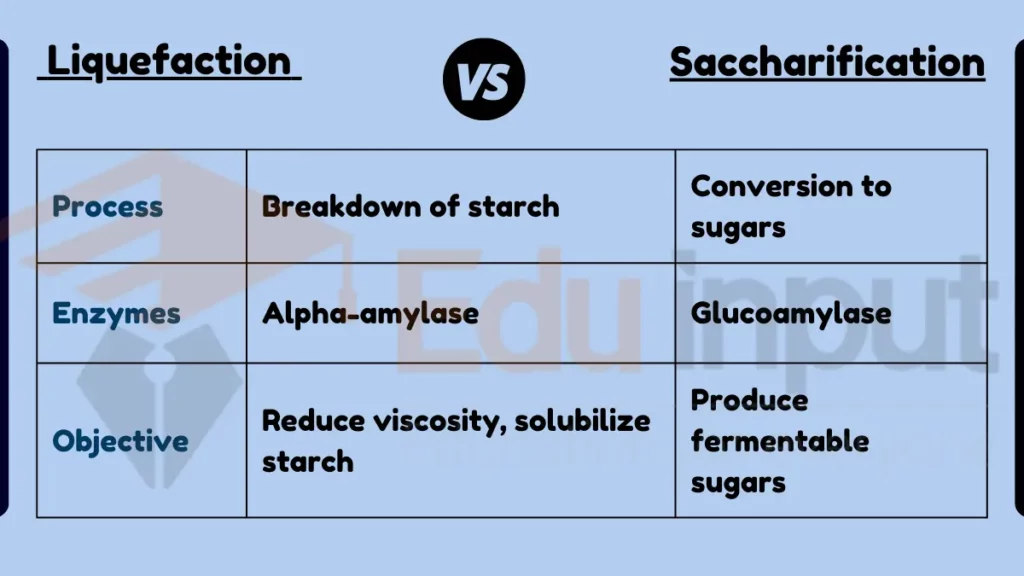 image showing Difference Between Liquefaction and Saccharification