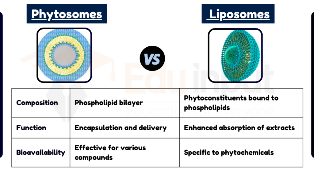 image showing Difference Between Phytosomes and Liposomes