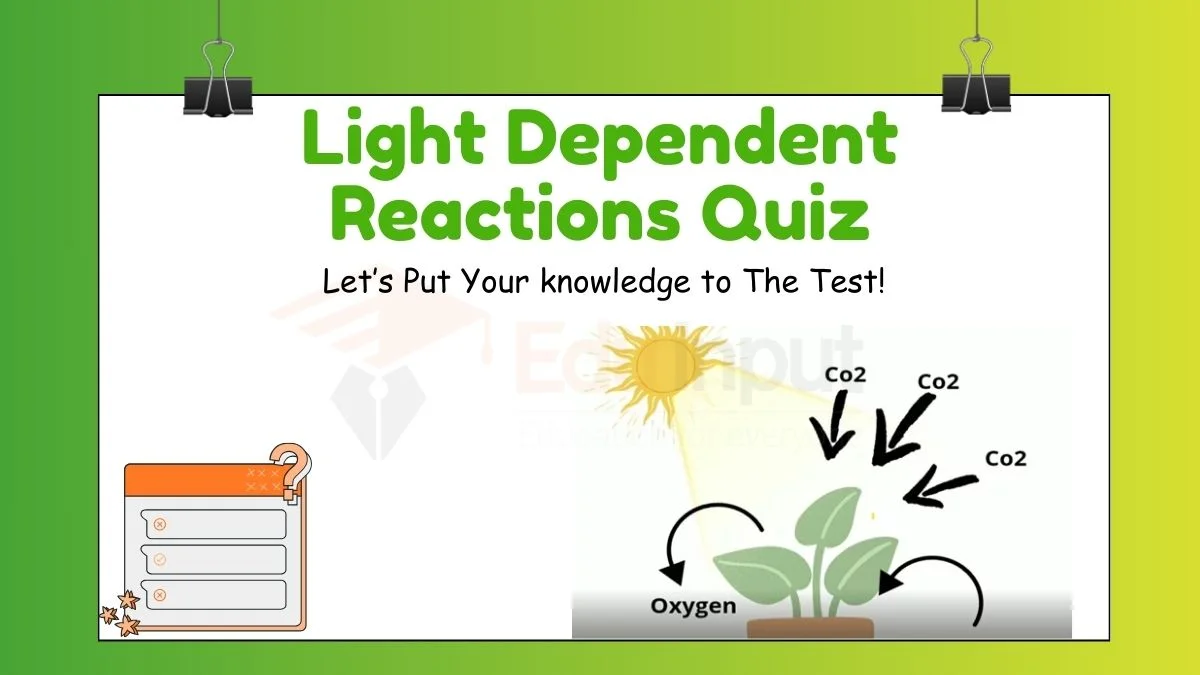 Light Dependent Reactions Quiz