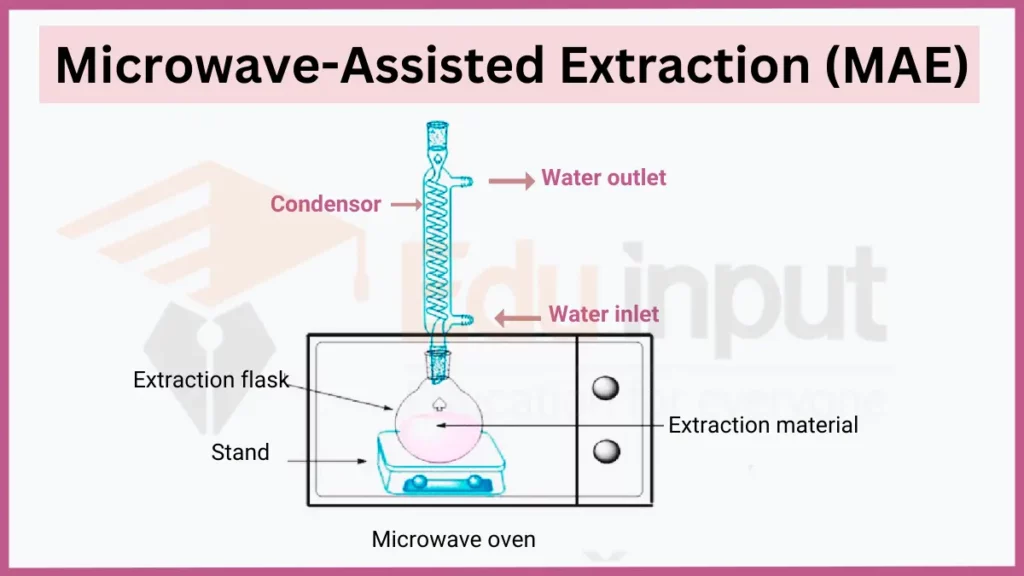 Image showing Microwave-Assisted Extraction (MAE)