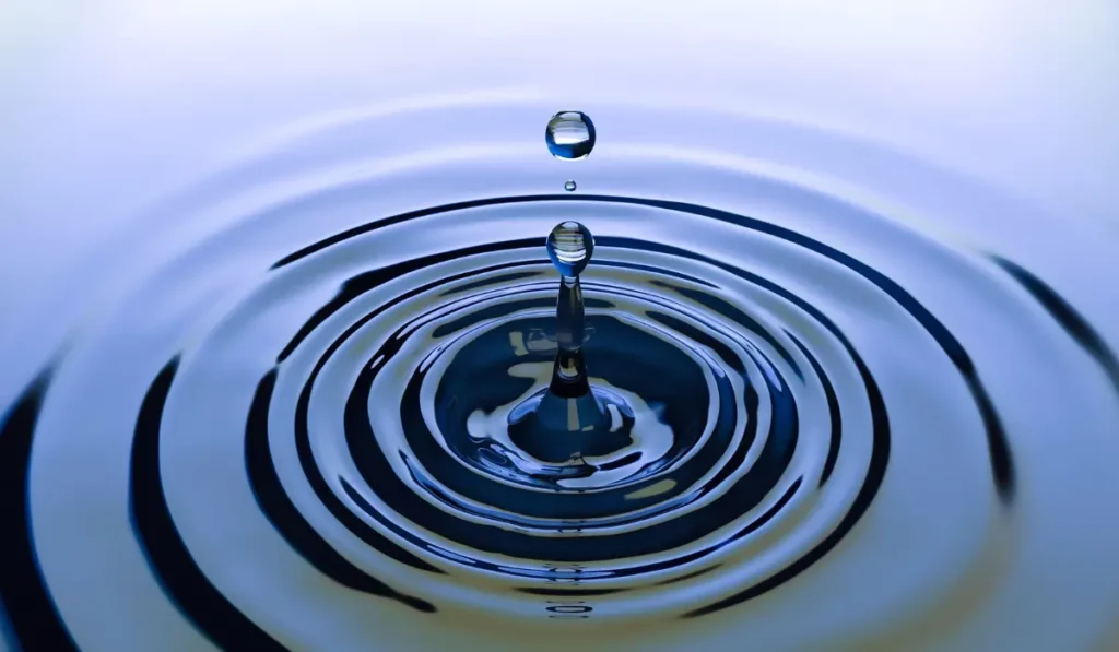 image showing Ripples in Water Pond as an example of transverse waves
