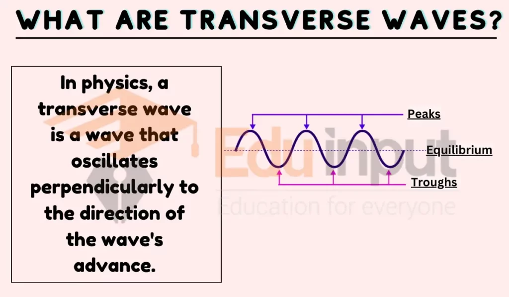 image showing transeverse waves definition