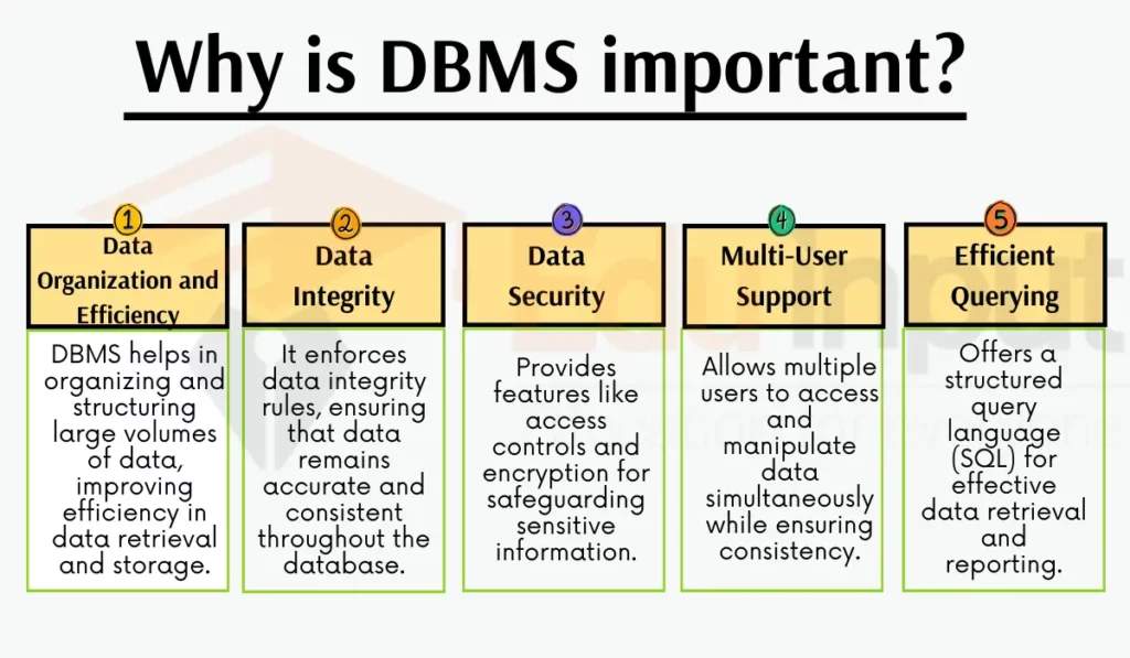image showing Why is DBMS important? 