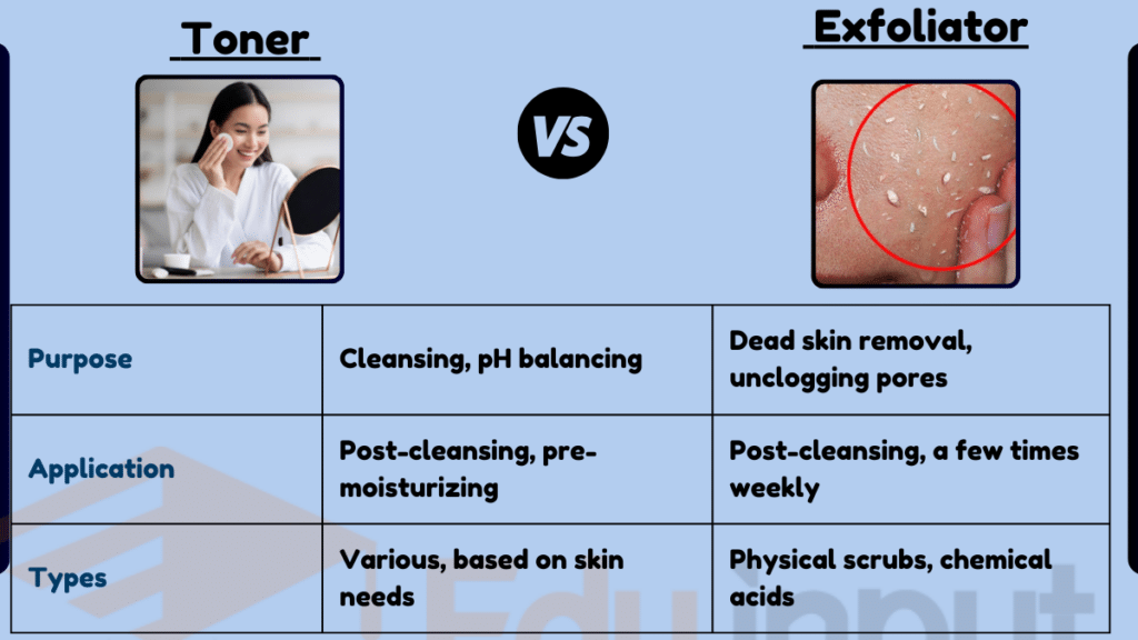 image showing Difference Between Toner and Exfoliator