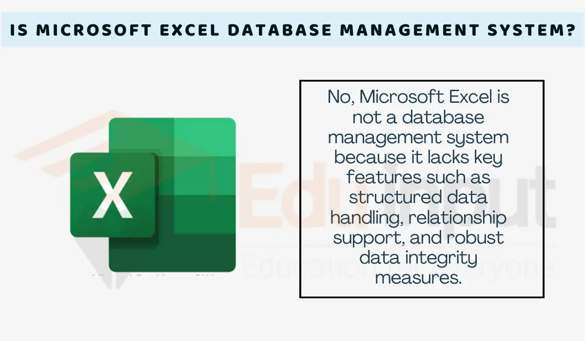 Is Microsoft Excel a Database Management System?