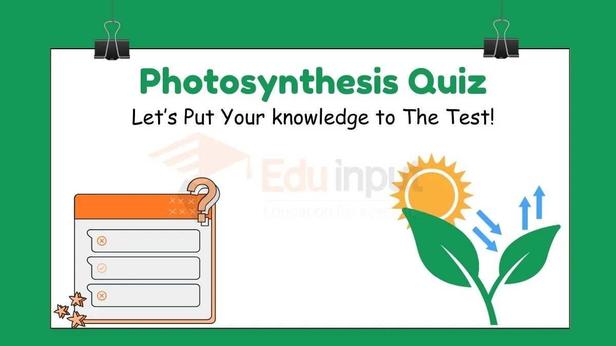 Photosynthesis quiz