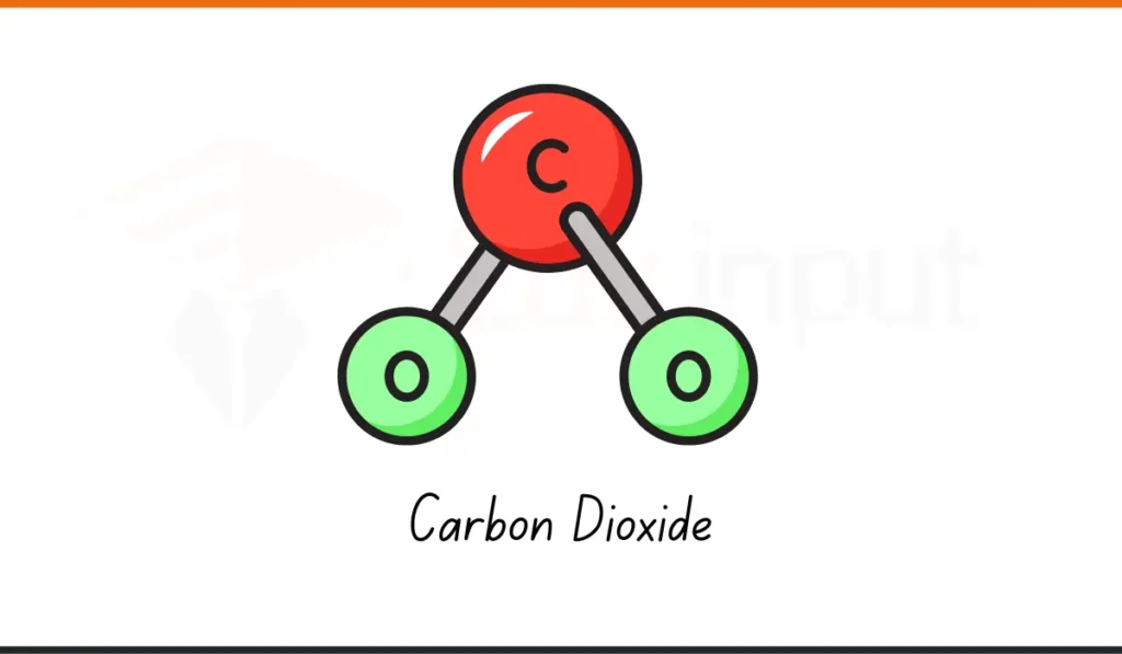 image showing carbon di oxide molecule as an Example Of Chemical Compounds