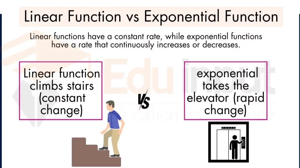 image showing Difference Between Linear Function and Exponential Function