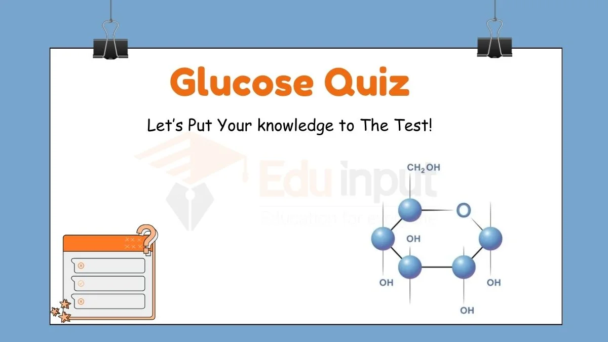 Glucose Quiz