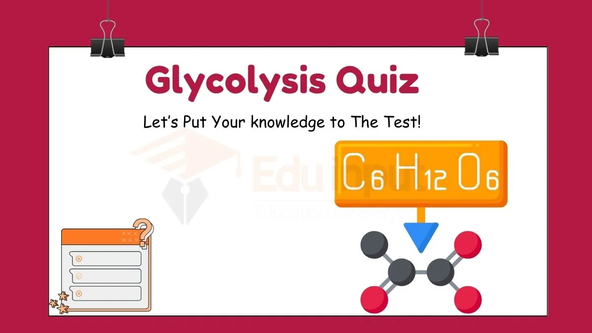 Glycolysis Quiz