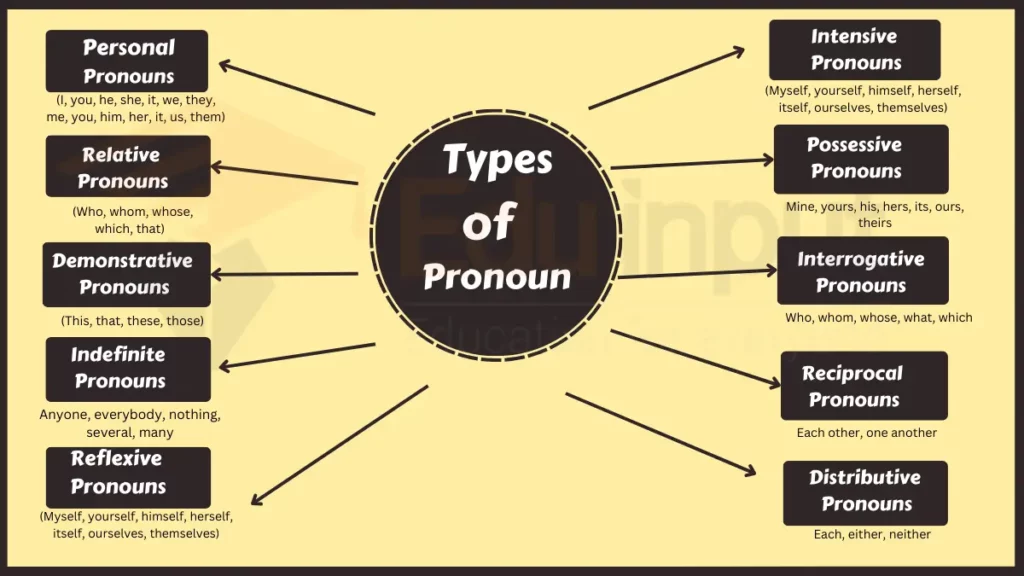image showing Types of Pronoun