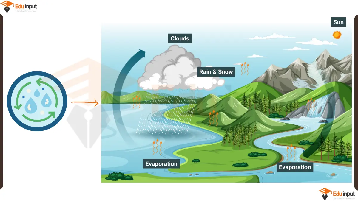Water Cycle Diagram With Explanation