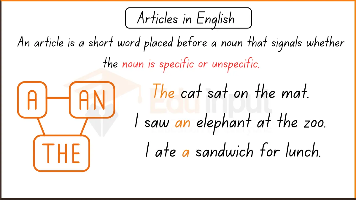 What is an Article in Grammar? – Types, Usage, and Examples
