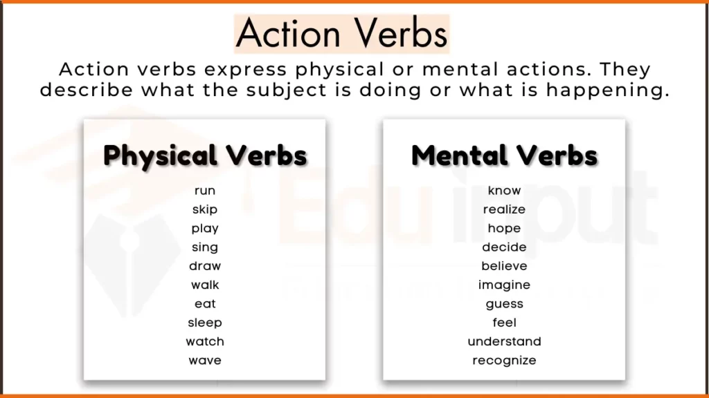 image showing what is action verb, and a few examples of mental and physical verbs