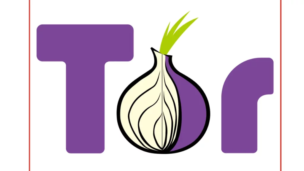 image showing Tor Browser as an example of web browser