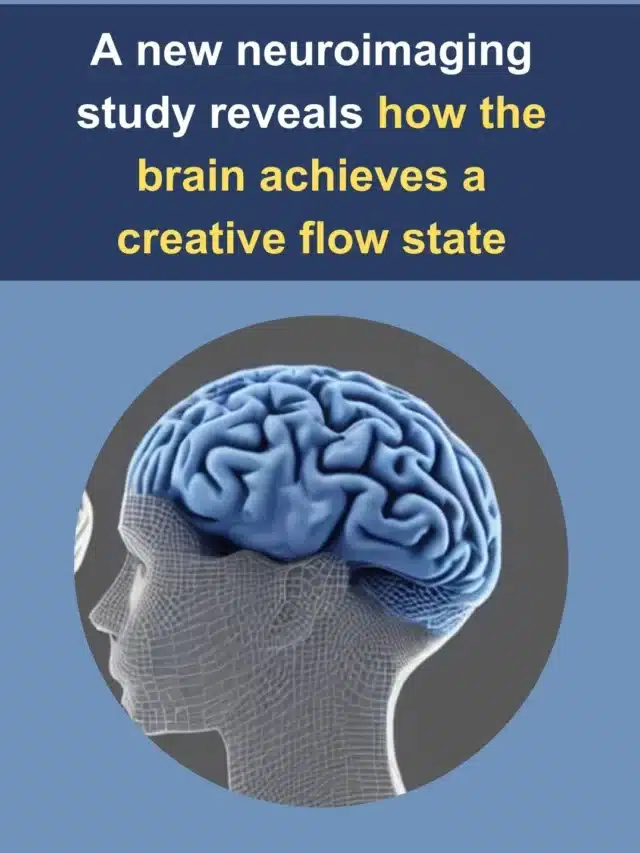 A new neuroimaging study reveals how the brain achieves a creative flow state