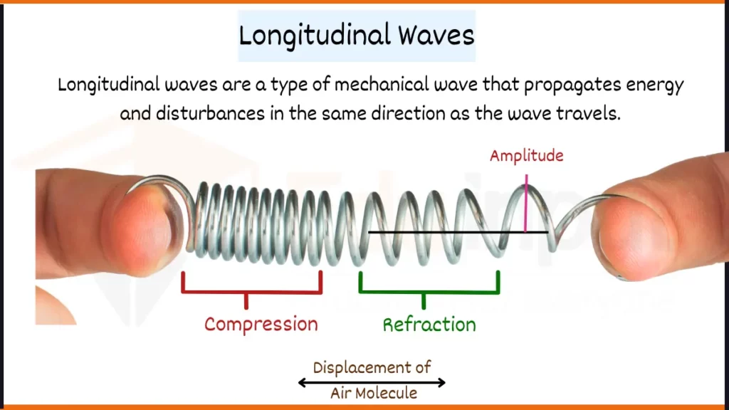 image showing What are Longitudinal Waves and Its diagram