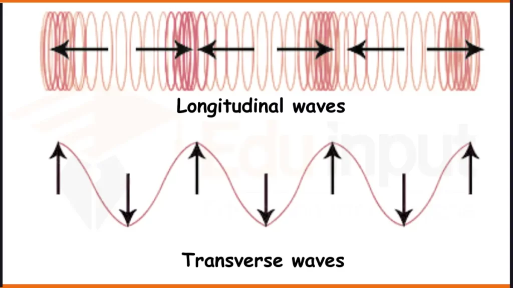 Longitudinal and transverse waves comparison for particle movement image