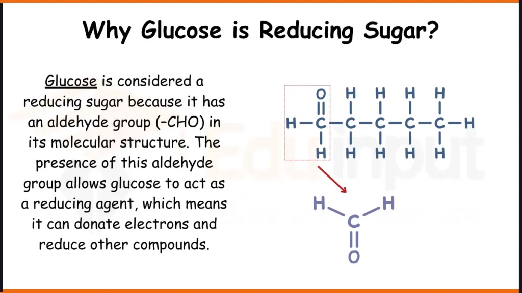 image showing Why Glucose is considered 
 Reducing Sugar